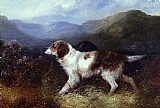 George Armfield Canvas Paintings - Two Setters in a Landscape